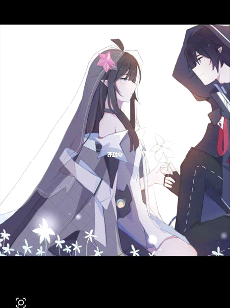 八大关枫叶在哪条路